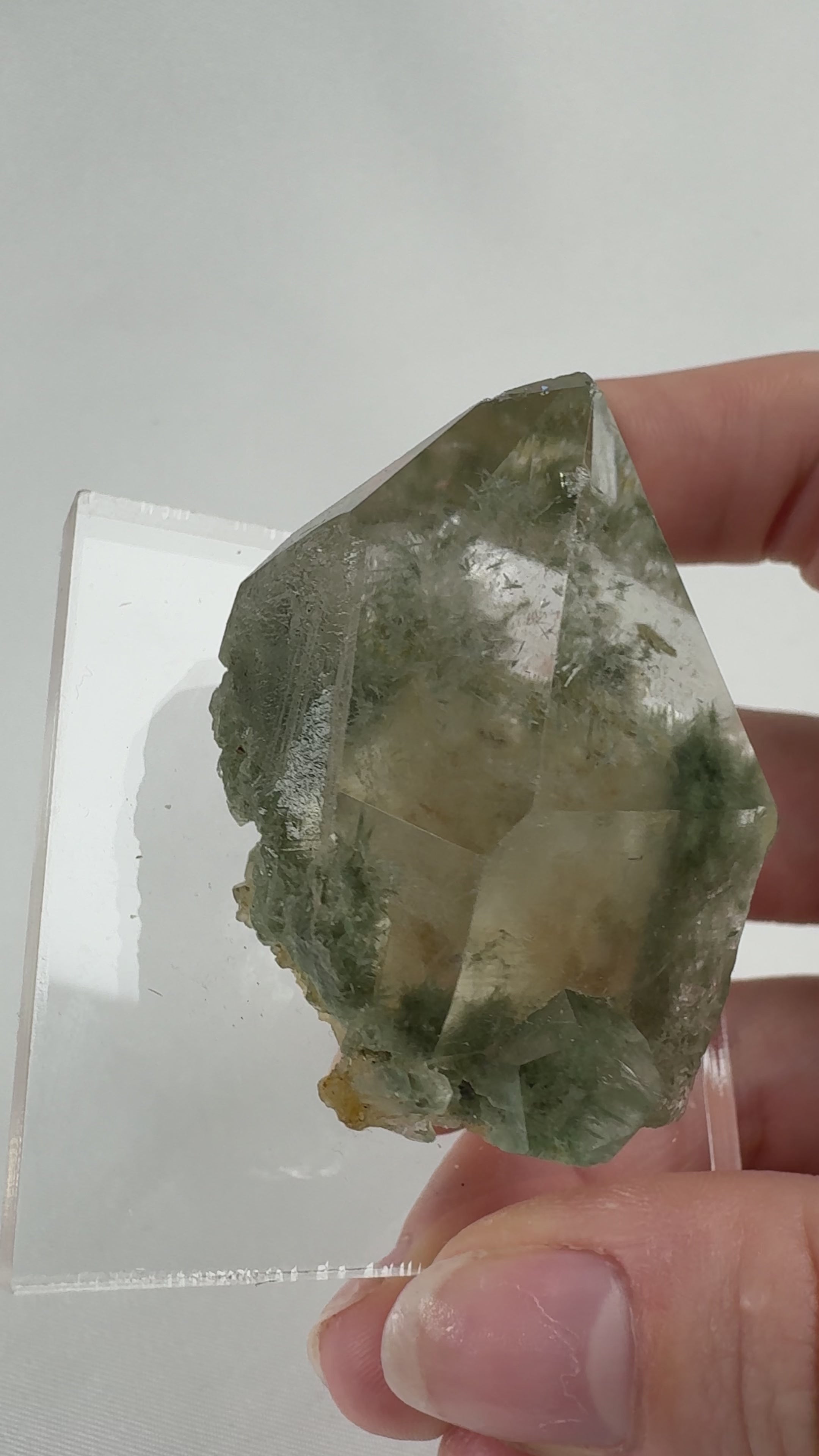 Quartz with Pumpellyite